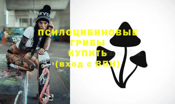 ПСИЛОЦИБИНОВЫЕ ГРИБЫ Армянск
