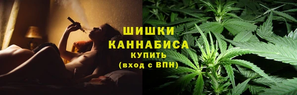 ПСИЛОЦИБИНОВЫЕ ГРИБЫ Армянск