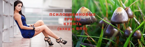 ПСИЛОЦИБИНОВЫЕ ГРИБЫ Армянск