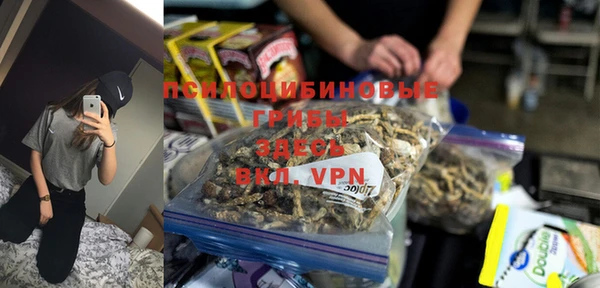 ешки Арсеньев