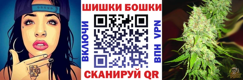 закладки  Багратионовск  Канабис сатива 